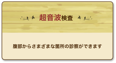 超音波検査 腹部からさまざまな箇所の診察ができます